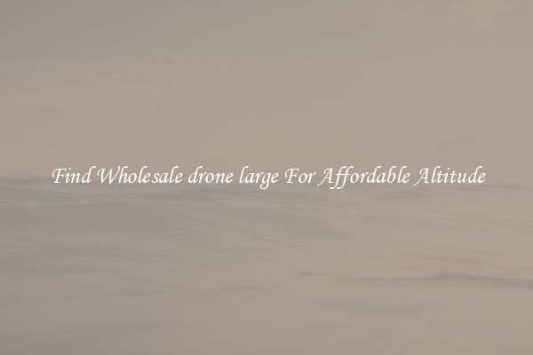 Find Wholesale drone large For Affordable Altitude