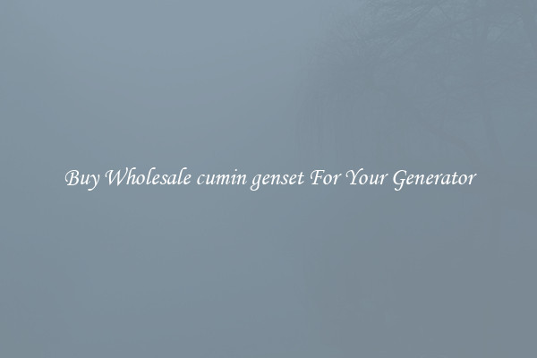 Buy Wholesale cumin genset For Your Generator