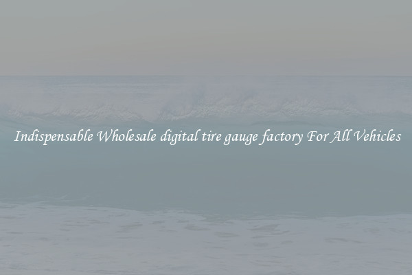 Indispensable Wholesale digital tire gauge factory For All Vehicles