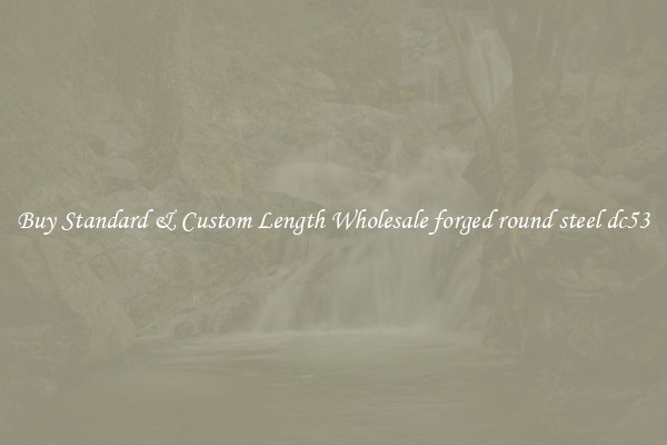 Buy Standard & Custom Length Wholesale forged round steel dc53
