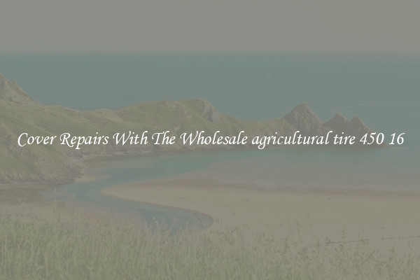  Cover Repairs With The Wholesale agricultural tire 450 16 