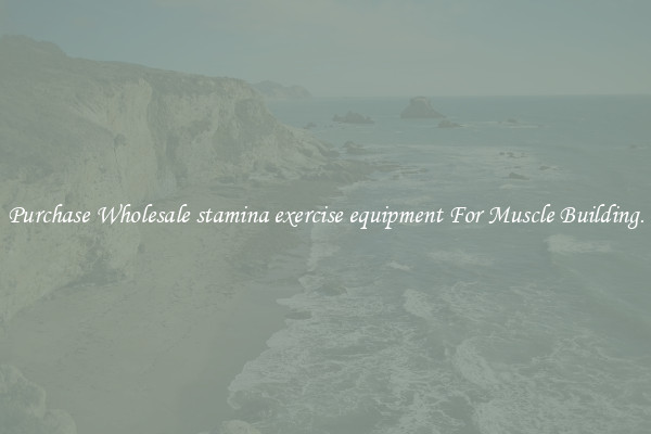 Purchase Wholesale stamina exercise equipment For Muscle Building.