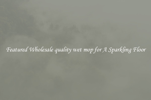 Featured Wholesale quality wet mop for A Sparkling Floor