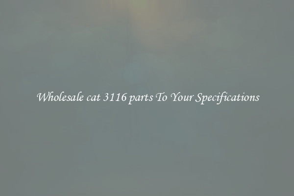 Wholesale cat 3116 parts To Your Specifications