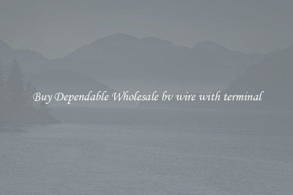 Buy Dependable Wholesale bv wire with terminal