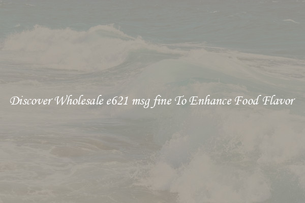 Discover Wholesale e621 msg fine To Enhance Food Flavor 