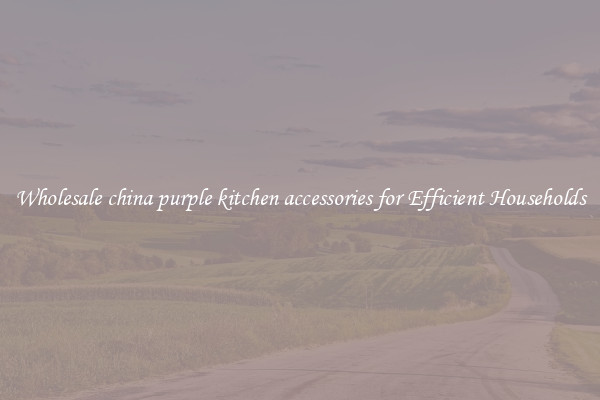 Wholesale china purple kitchen accessories for Efficient Households