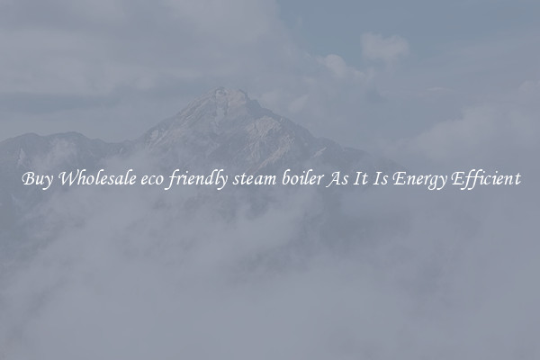 Buy Wholesale eco friendly steam boiler As It Is Energy Efficient