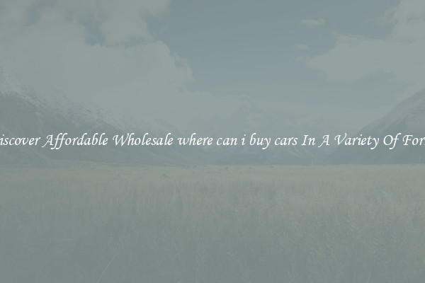 Discover Affordable Wholesale where can i buy cars In A Variety Of Forms