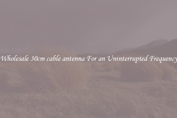 Wholesale 30cm cable antenna For an Uninterrupted Frequency