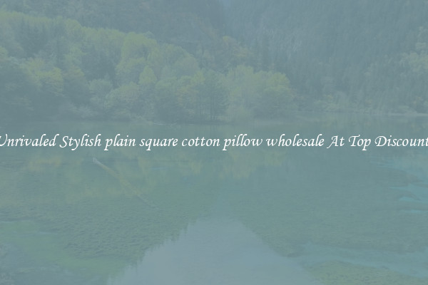 Unrivaled Stylish plain square cotton pillow wholesale At Top Discounts