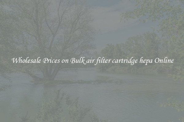 Wholesale Prices on Bulk air filter cartridge hepa Online