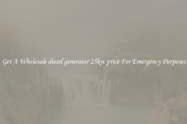 Get A Wholesale diesel generator 25kw price For Emergency Purposes