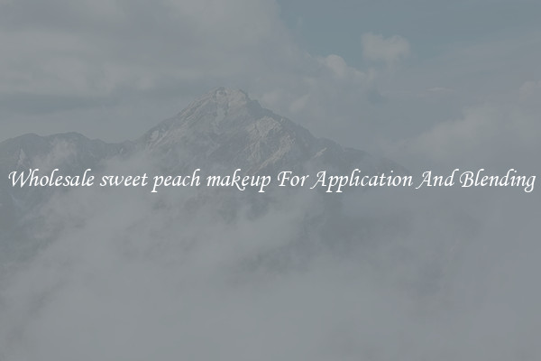 Wholesale sweet peach makeup For Application And Blending