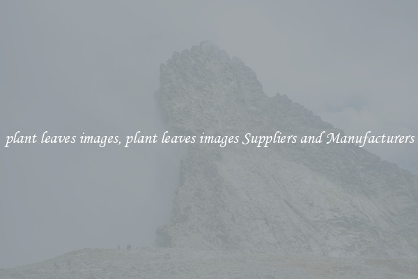 plant leaves images, plant leaves images Suppliers and Manufacturers