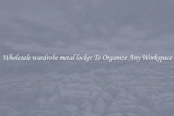 Wholesale wardrobe metal locker To Organize Any Workspace