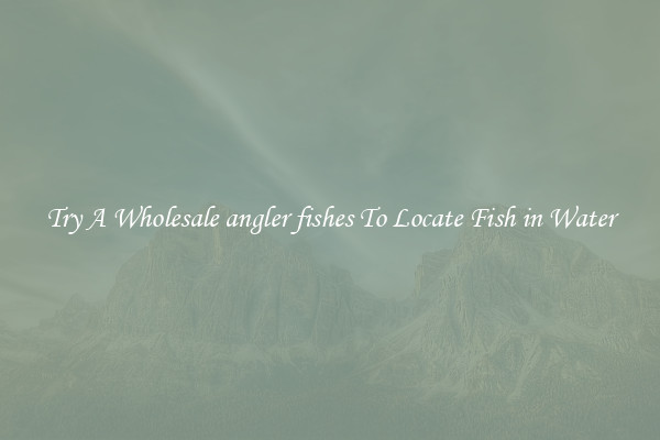 Try A Wholesale angler fishes To Locate Fish in Water