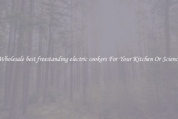 Wholesale best freestanding electric cookers For Your Kitchen Or Science